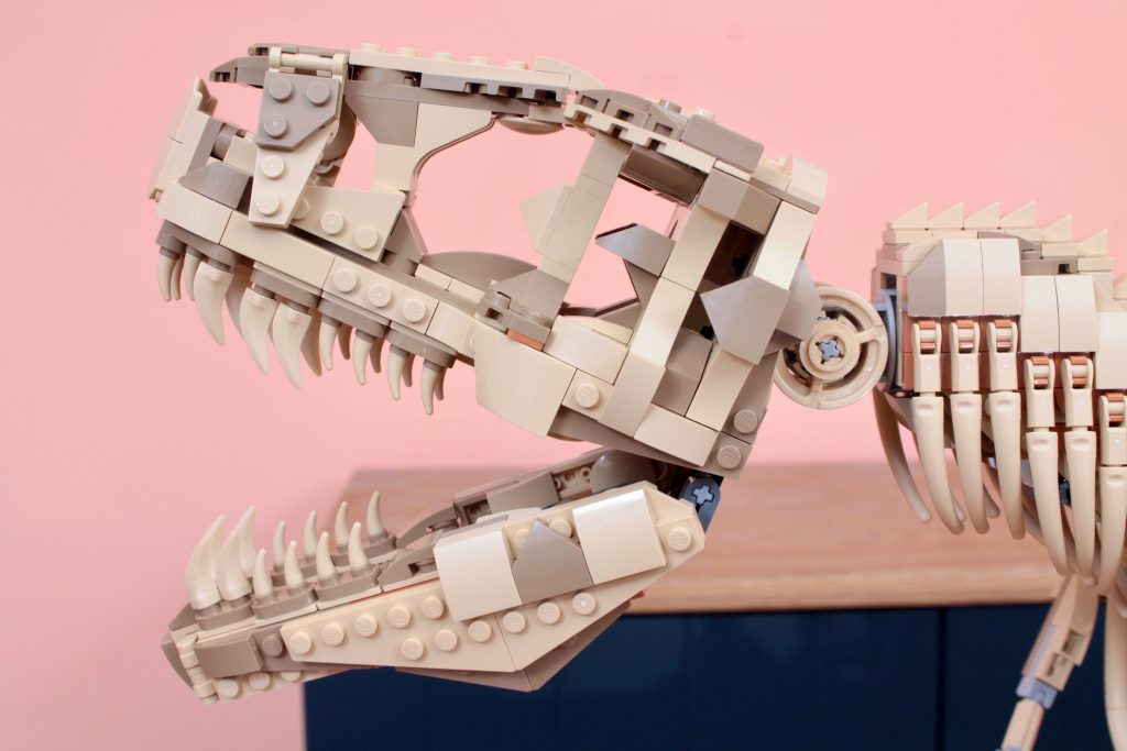 LEGO Jurassic Park 76968 Dinosaur Fossils Tyrannosaurus rex review 13 1024x683