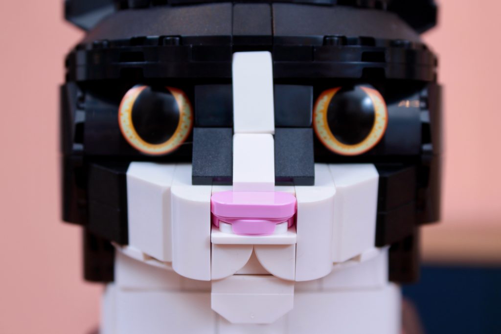 LEGO Ideas 21349 Tuxedo Cat review 11 1024x683