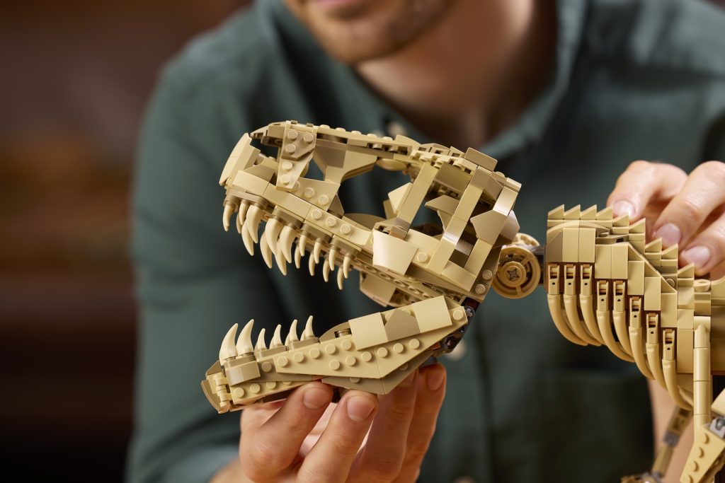 LEGO Jurassic Park 76968 Dinosaur Fossils Tyrannosaurus rex 12 1024x683