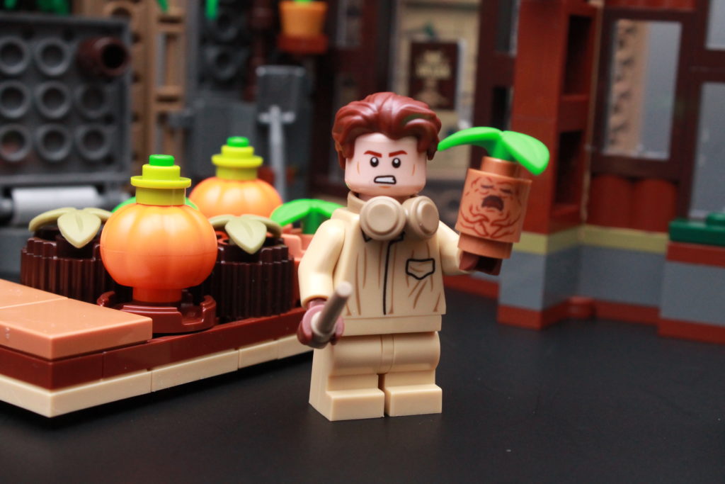 LEGO Harry Potter 76384 Hogwarts Moment Herbology Class review 5