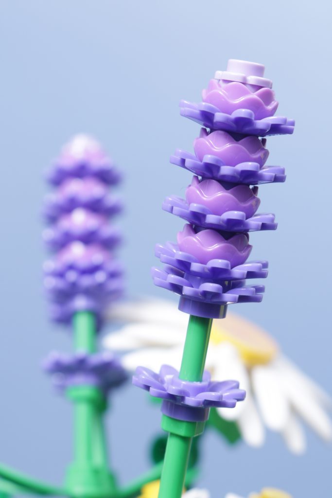 LEGO Botanicals 11501 Tulip Bouquet 11509 Flowering Cactus 11508 Daisies 11504 Peace Lily review 4 683x1024