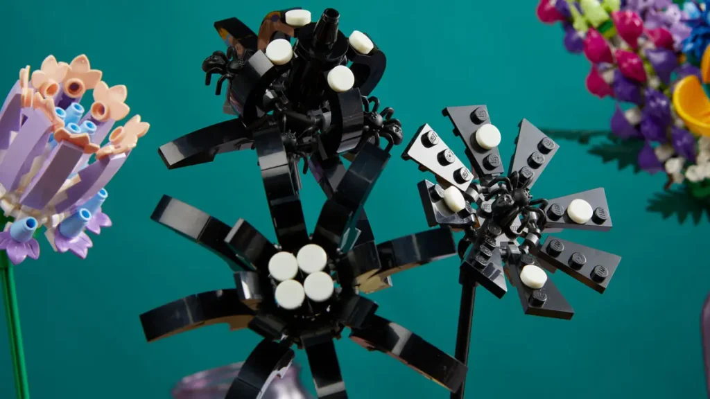 black spider 1024x576
