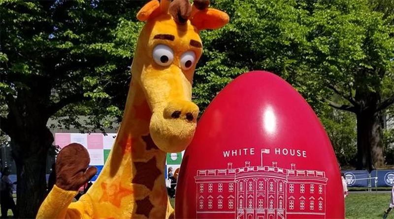 Toys R Us stores to open in the USA this year