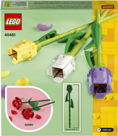 40461 Tulips Box 02