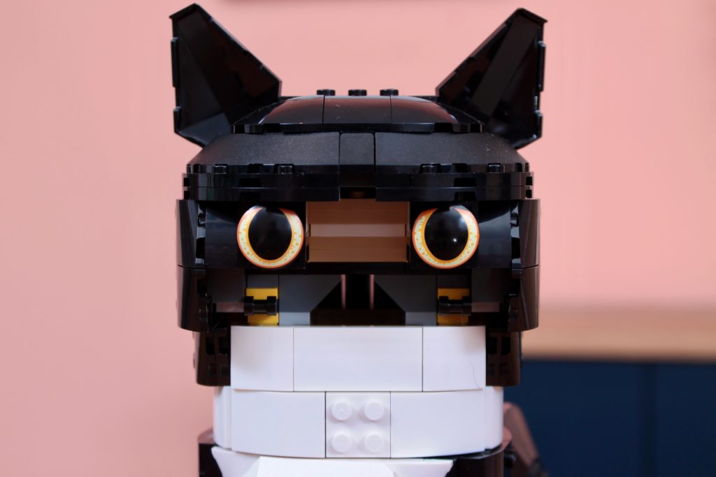 LEGO Ideas 21349 Tuxedo Cat review 12 1024x683