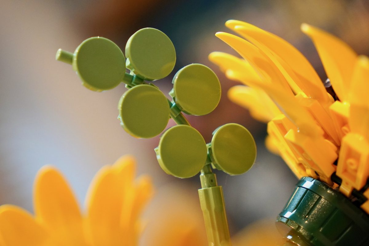 LEGO Botanicals 11502 Sunflower Bouquet review 6 1200x800