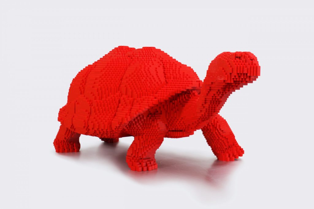 Galapagos Tortoise 3 NaturePOP 24 scaled 1