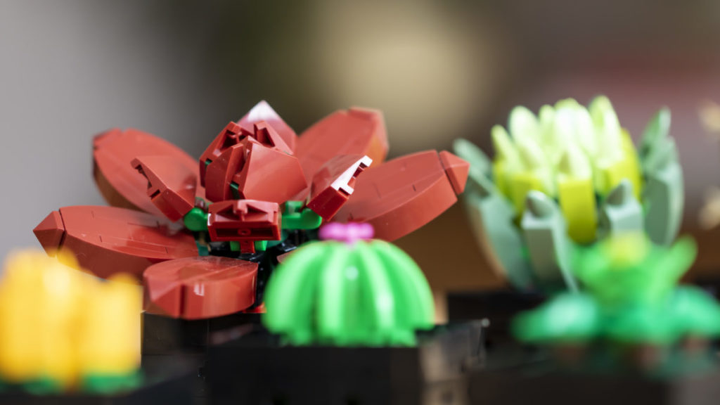LEGO The Botanical Collection 10309 Succulents 3 1024x576