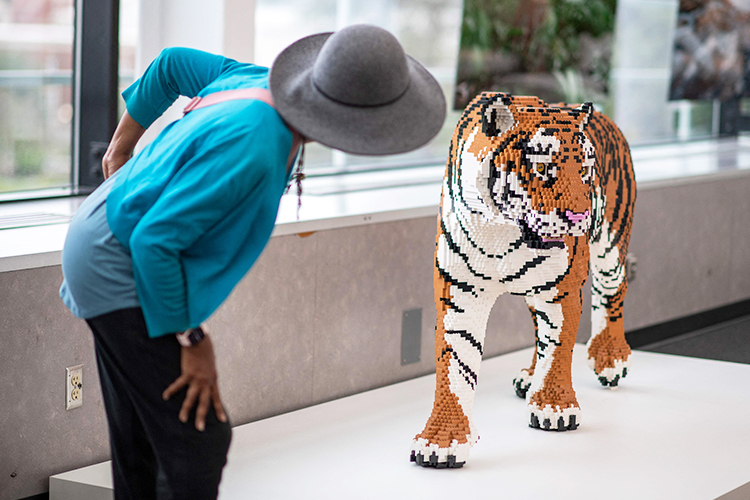 LEGO Art of the Brick Tiger