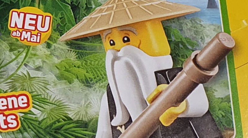 LEGO catalogue teases 71741 The Gardens of NINJAGO City