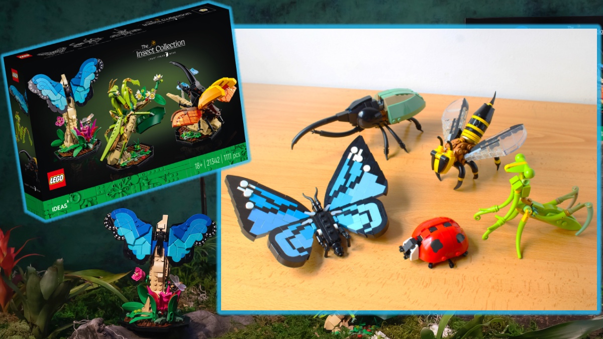 Five differences between LEGO Ideas 21342 The Insect Collection and the original project