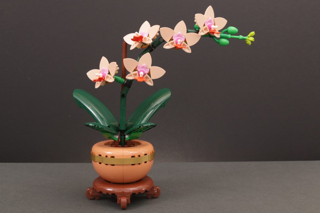 LEGO Botanicals 10343 Mini Orchid and 10344 Lucky Bamboo review 9 1024x683