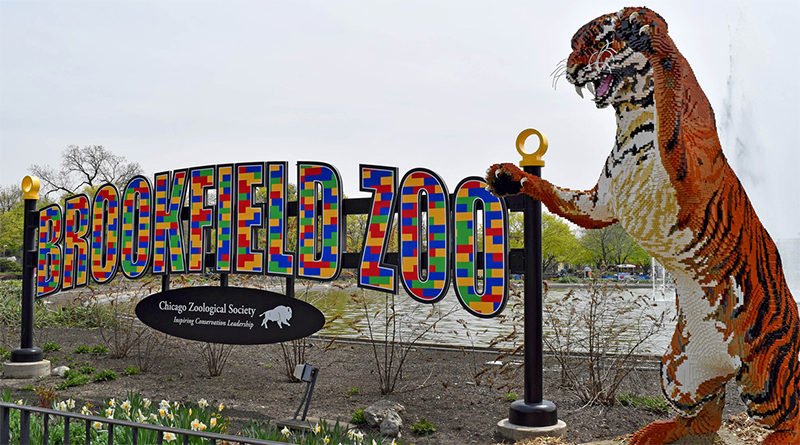 LEGO animal sculptures come to Brookfield Zoo, Chicago
