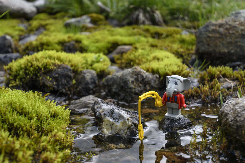 Brick Pic of the Day: It's a Fabuland day for fishing