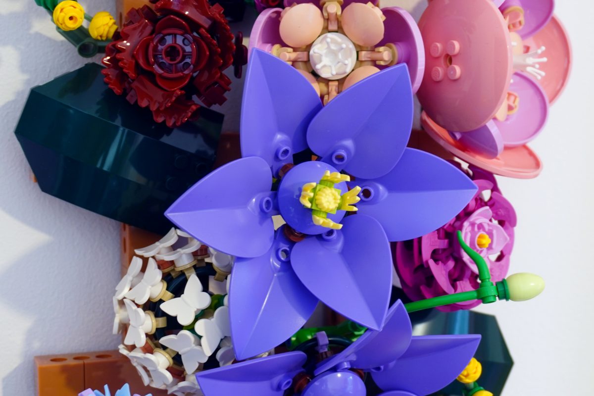 09 1200x800