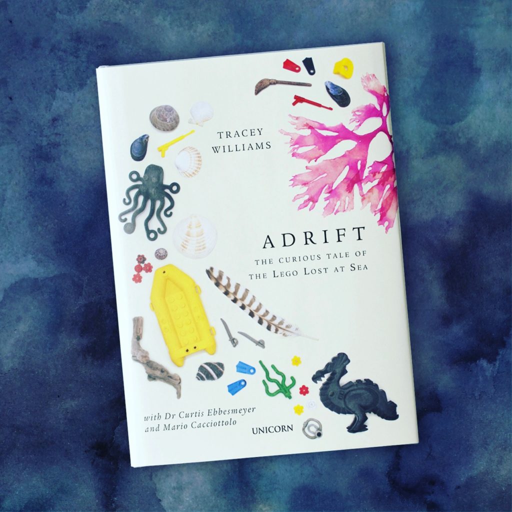 Adrift LEGO Lost at Sea Tracey Williams book