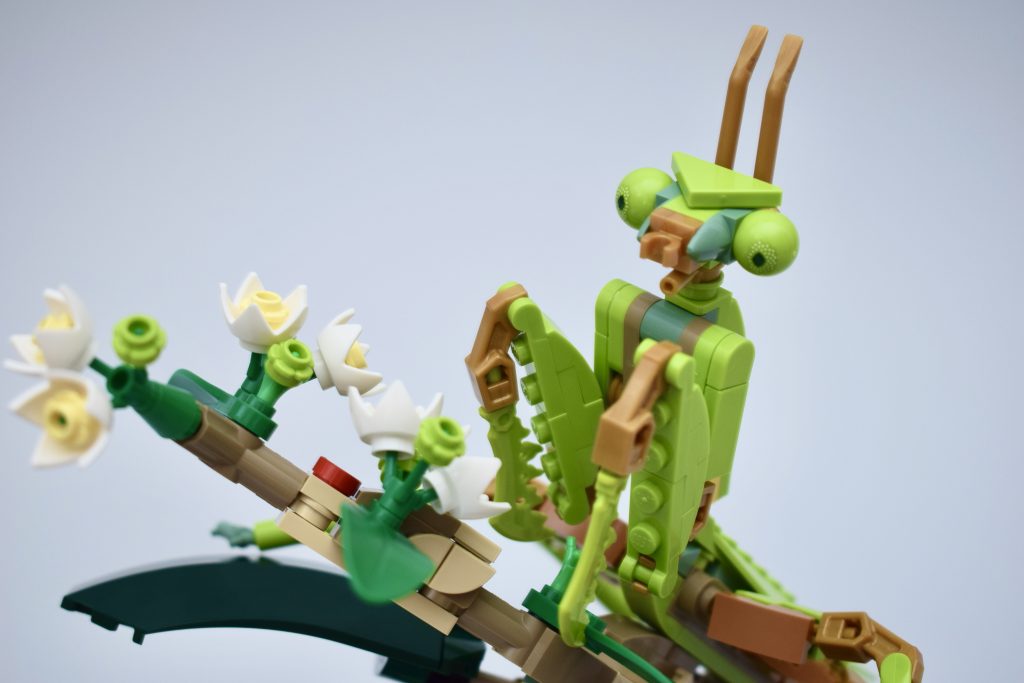 LEGO Ideas 21342 The Insects Collection Review 13 1024x683