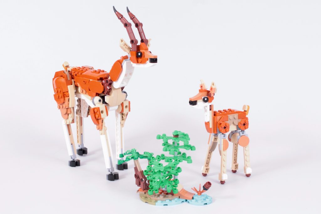 LEGO Creator 3 in 1 31150 Wild Safari Animals review 16 1024x683