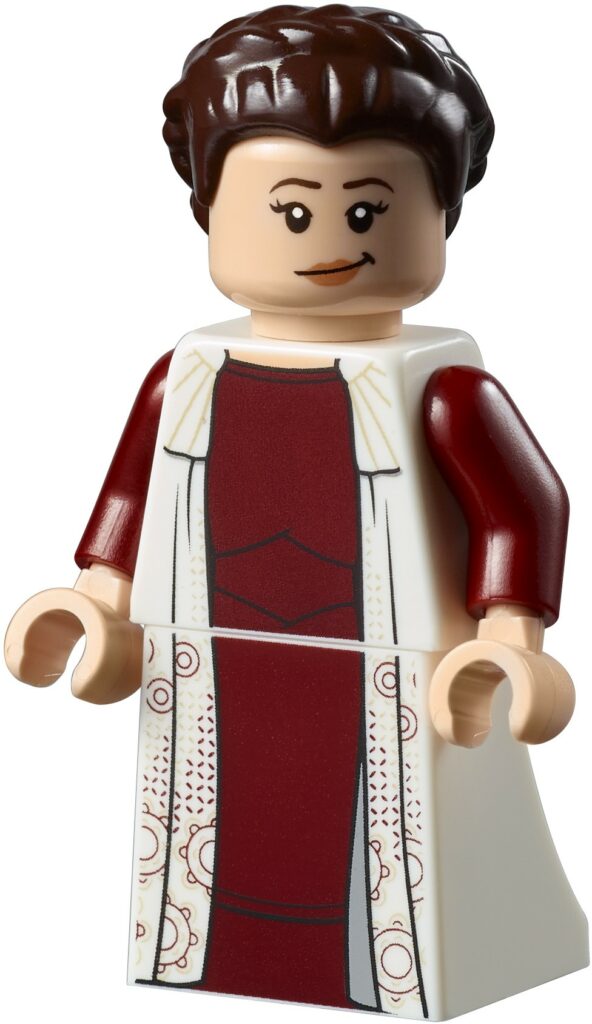 75222 Top Panel Minifigure 10 592x1024