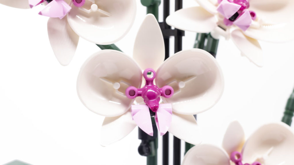LEGO Botanical Collection 10311 Orchid 18 1024x576