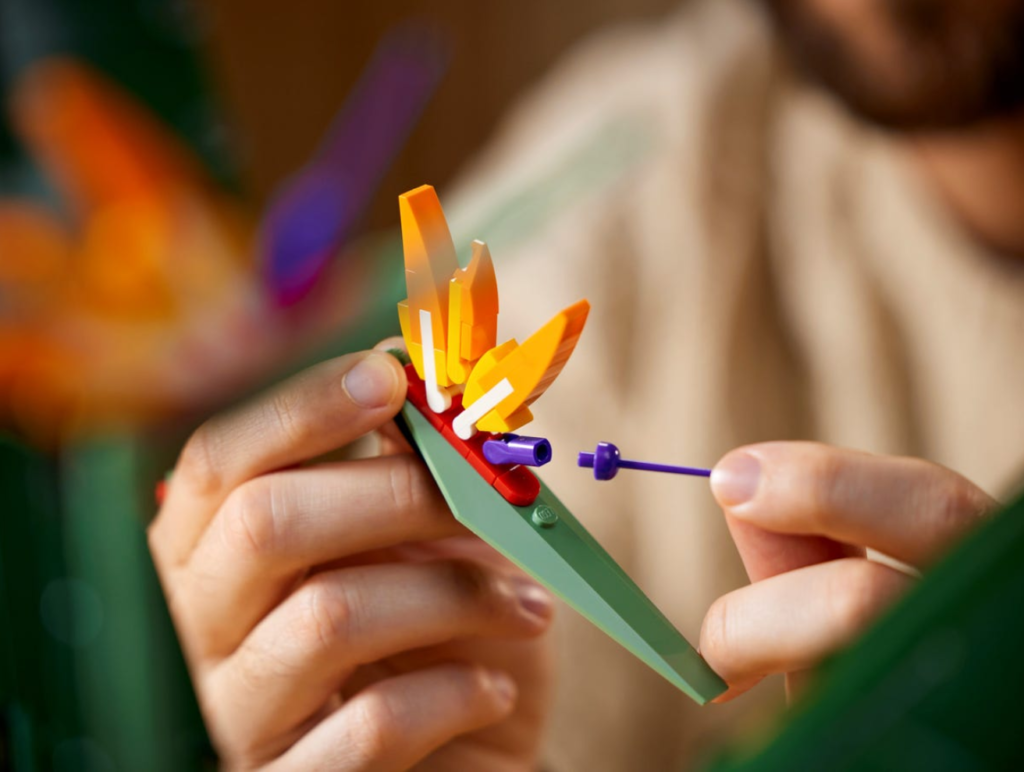 LEGO 10289 Bird of Paradise lifestyle 4