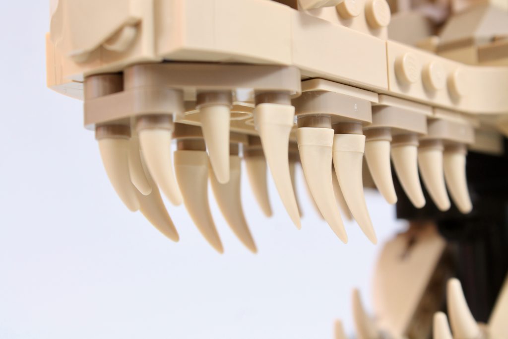 LEGO Jurassic World 76964 Dinosaur Fossils T. rex Skull review 6 1024x683