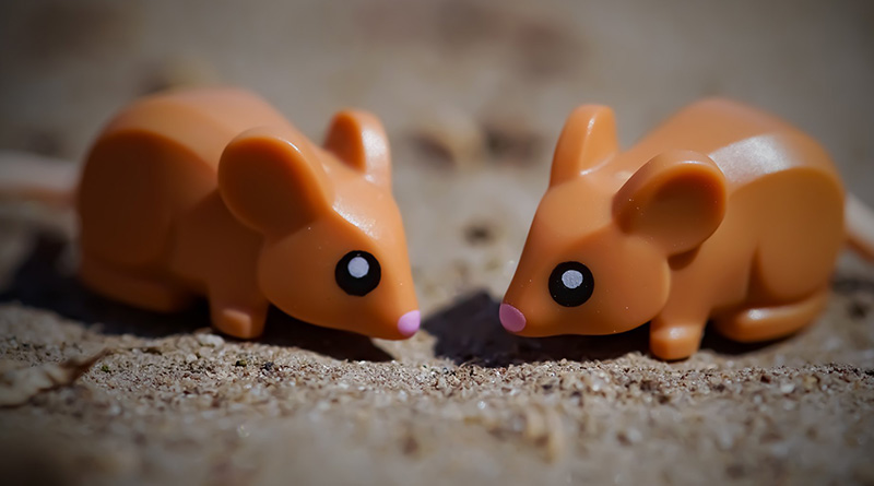 Brick Pic of the Day: Mouse chat