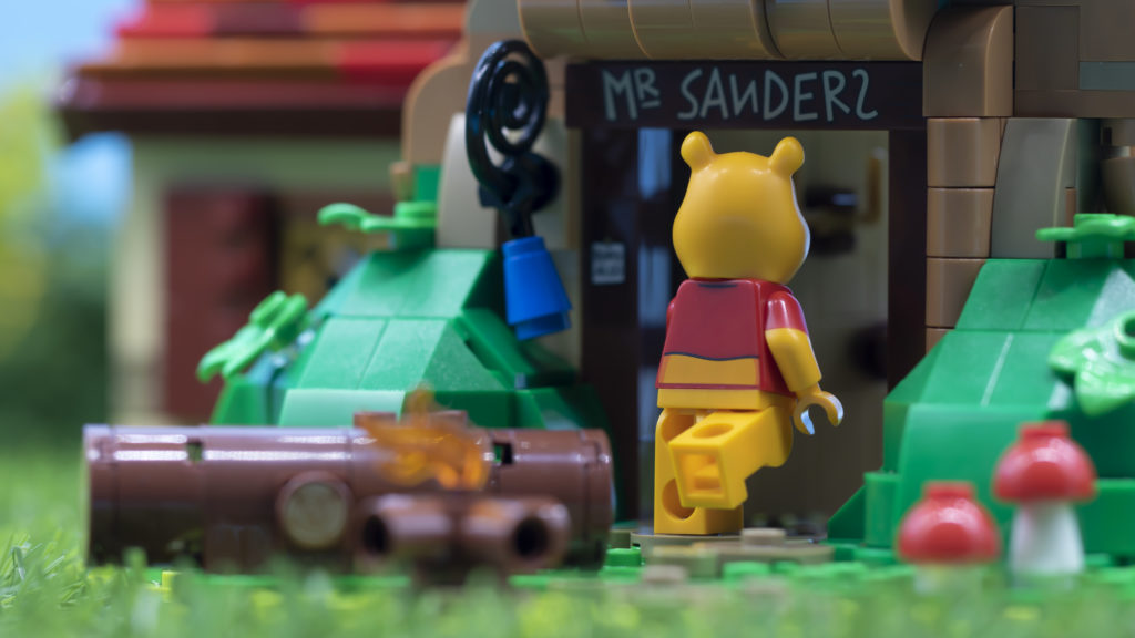 LEGO ideas 21326 Winnie The Pooh 41 1