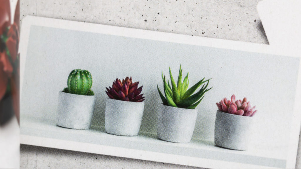LEGO The Botanical Collection 10309 Succulents 43 1024x576