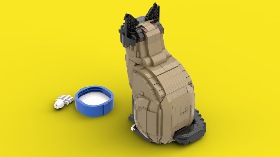 Cat Ideas 3