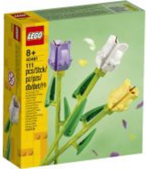 40461 Tulips