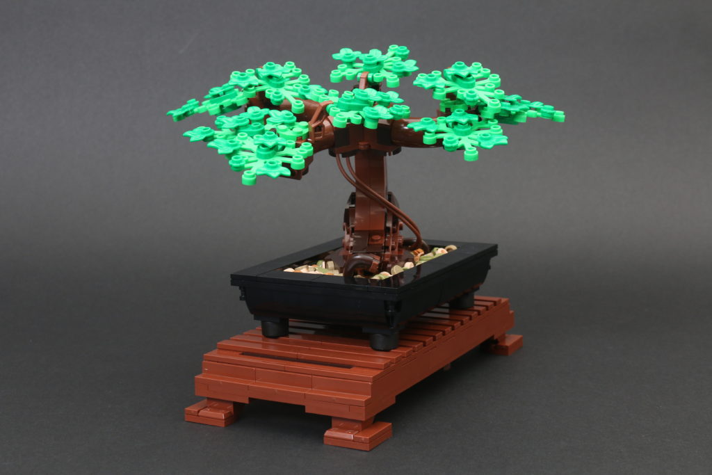 LEGO Botanical Collection 10281 Bonsai Tree review 29