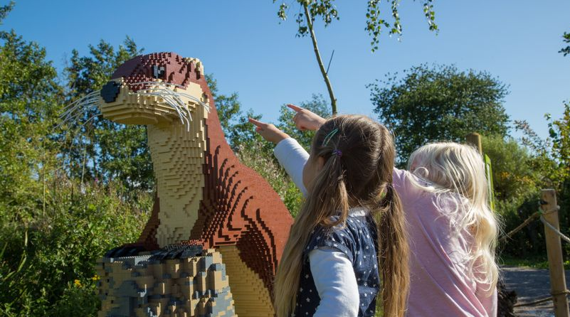 LEGO brick animal trail coming to Martin Mere Wetland Centre