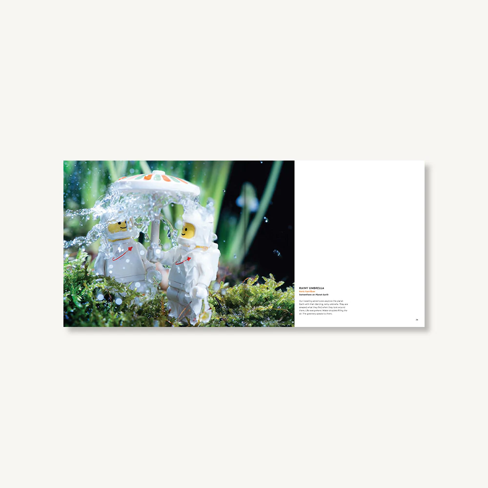 LEGO in Focus Page 2