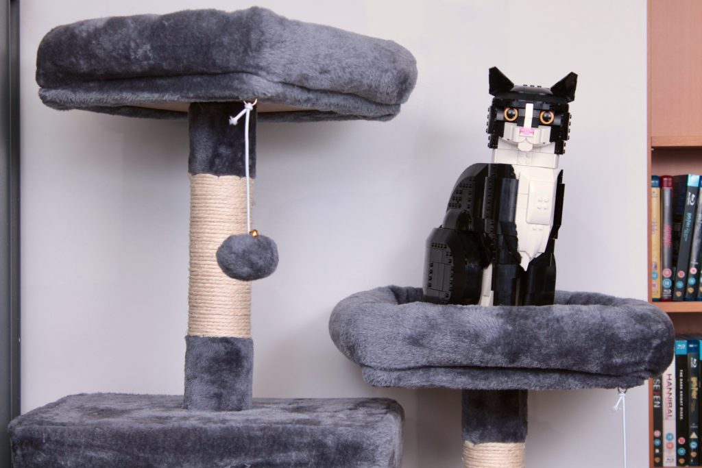 LEGO Ideas 21349 Tuxedo Cat review 21 1024x683