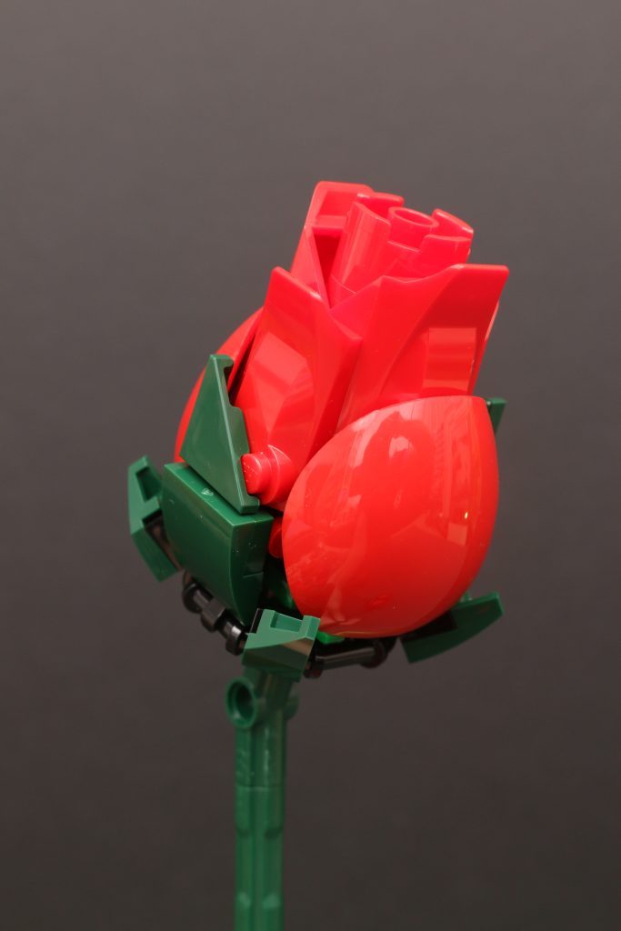 LEGO Botanical Collection 10328 Bouquet of Roses review 20 683x1024